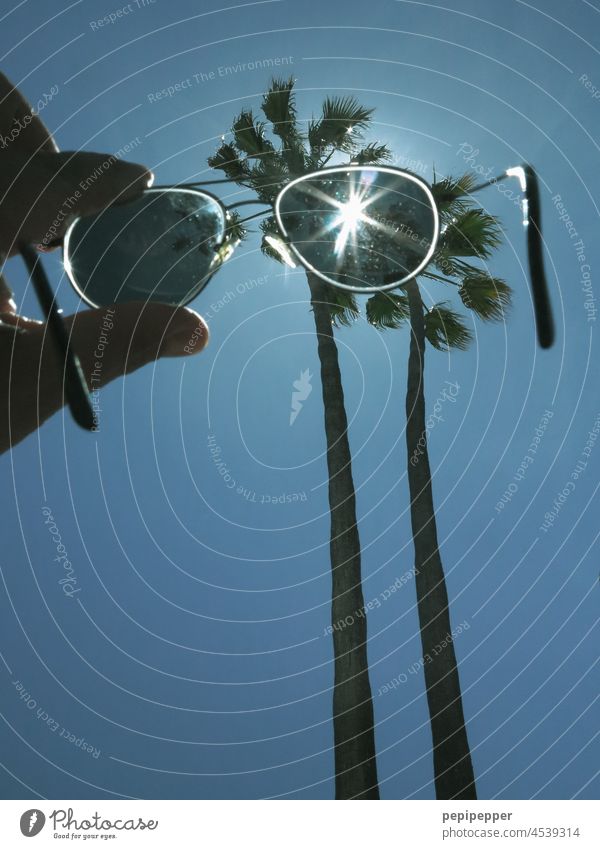 Palm trees photographed through sunglasses Palm frond palms Sky Vacation & Travel Exterior shot Summer Sunlight Green Plant Colour photo Sunglasses