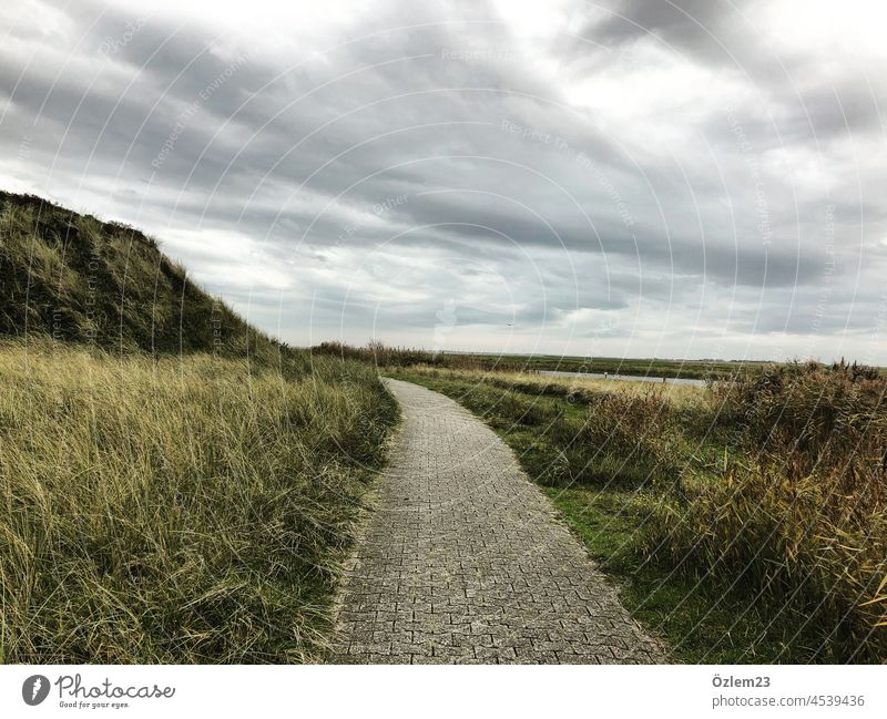 The cycle path on Langeoog Nature Beach Exterior shot North Sea Sky Vacation & Travel Landscape Ocean Island Deserted Clouds Relaxation
