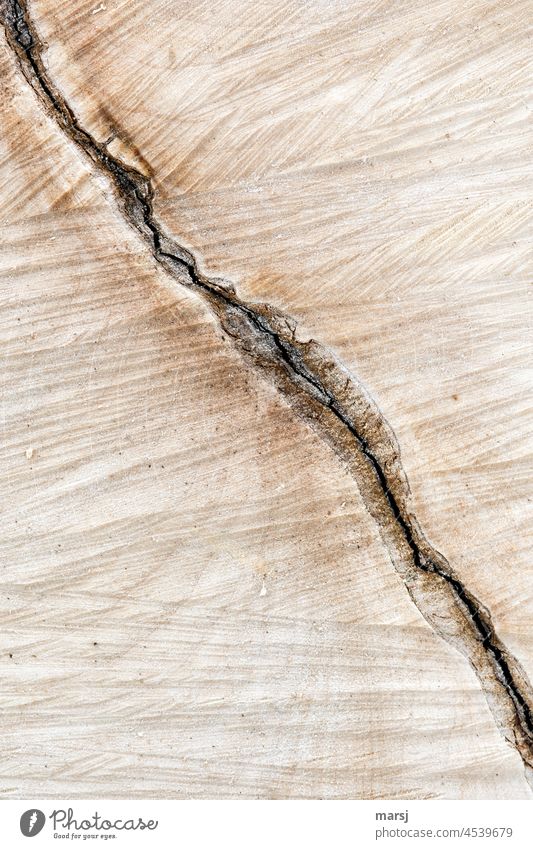 The crack through the timbers. A reflection of the divided population. Crack & Rip & Tear cleavage Difference of opinion division of society Wood Good and evil
