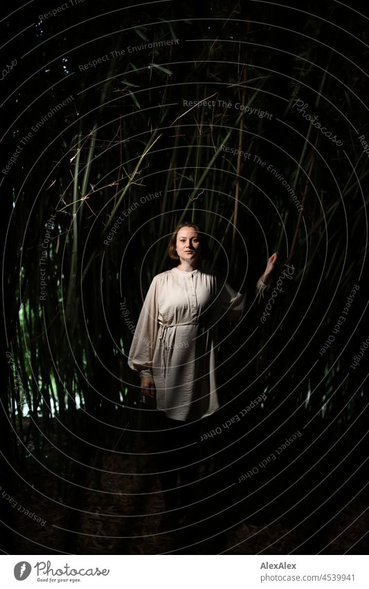 Portrait of a young woman in the park in a dark bamboo forest, light from the side Young woman Bamboo Dark Sidelight Dress portrait whole body Moody
