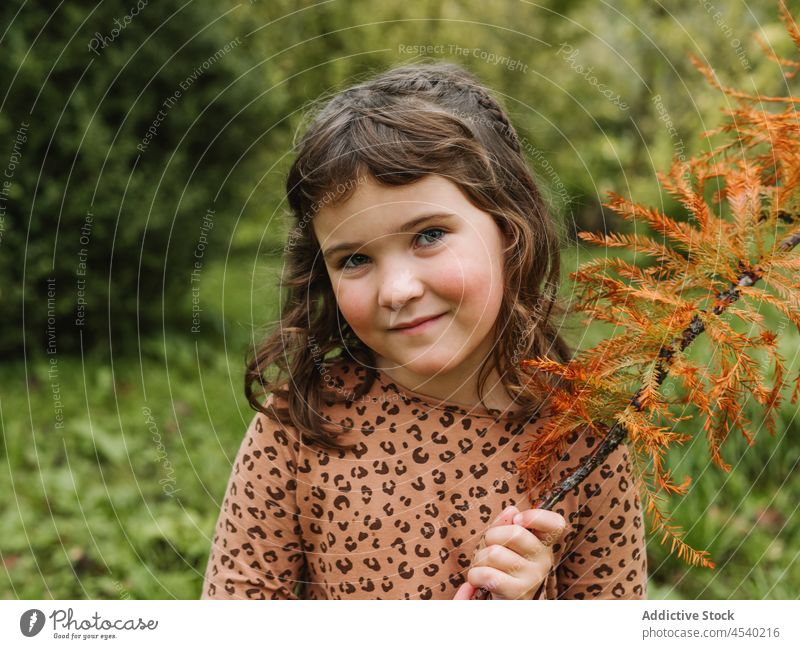 Cute girl with branch of fading plant in park leaf fade tree nature autumn portrait gentle fall child foliage kid cute appearance childhood adorable wavy hair