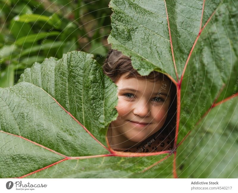 Little girl covering face with big branch leaf hide stare cover face plant grow vegetate gaze verdant kid personality portrait behind park foliage nature