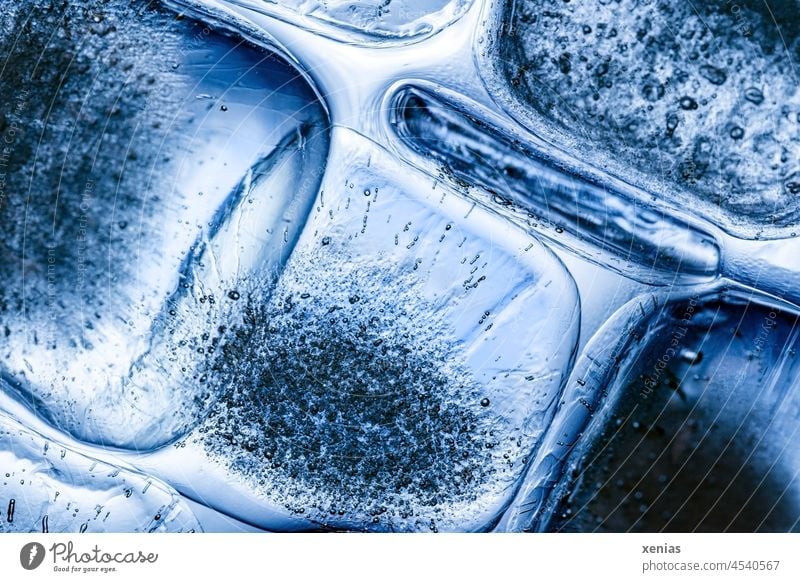 Macro image: Thin ice cubes with air bubbles in blue light Ice cube Blue Cold blow Water Structures and shapes Frozen Transparent Row Freeze
