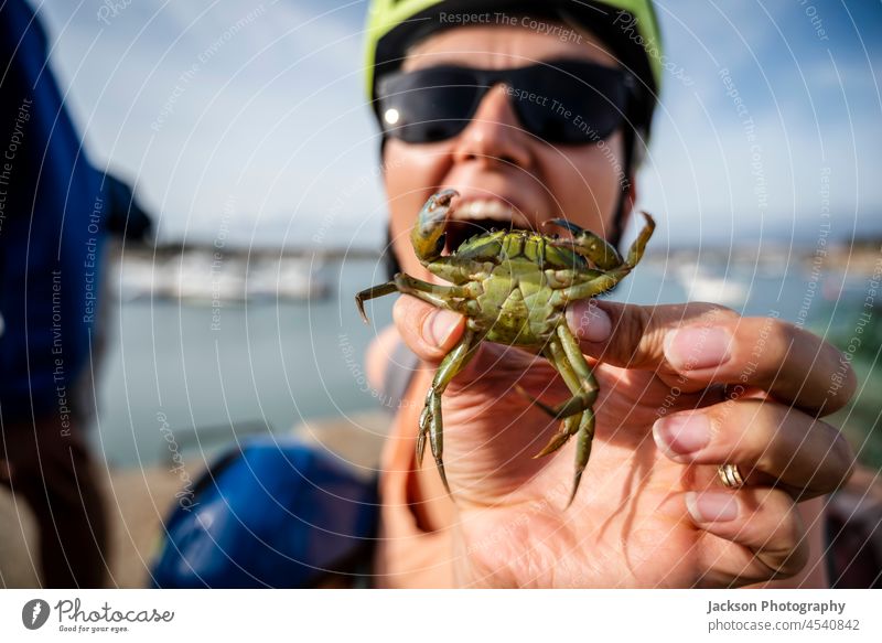 A tourist woman enjoys holding a green crab in her hand in the harbor of Alvor, Algarve, Portugal animal family biking children kid boy baby keep outdoor nature