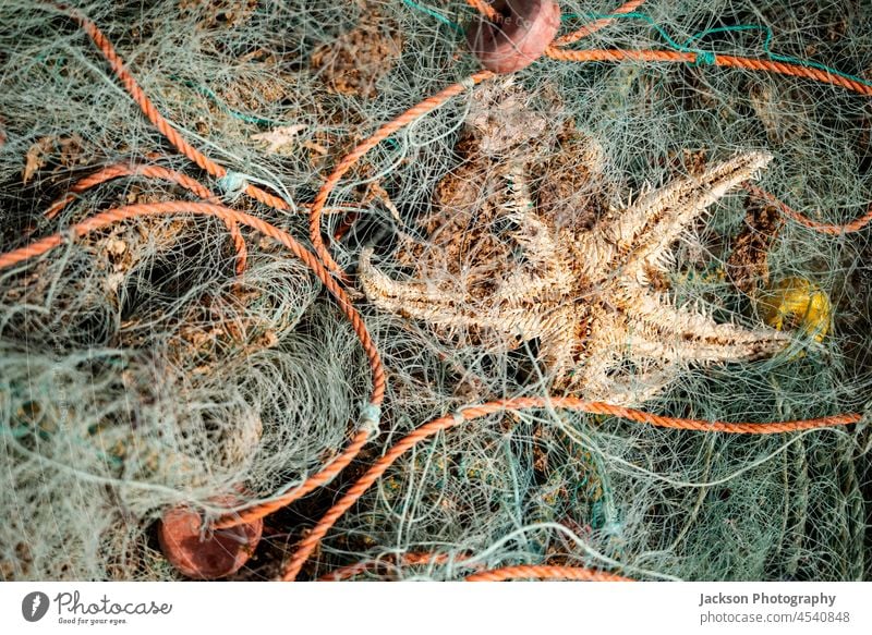 Green fishing nets with orange rope creates nice backdrop background fishing industry catch fish close up dry close-up line green abstract fishery detail