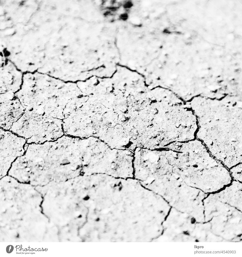 in the desert the dry ground land drought nature texture earth background soil climate arid environment clay crack natural warming barren mud hot cracked