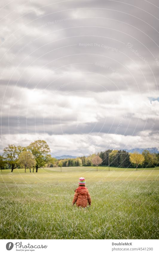 A child walks in the distance through a field into the untouched nature Colour photo Exterior shot Day 1 Multicoloured Nature Green naturally Environment