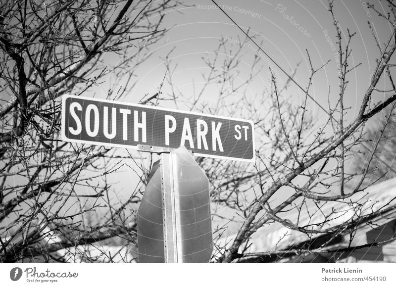 South Park Tree Town Transport Street Road sign Sign Sharp-edged Design Contact Planning Surveillance Lanes & trails Earth south park USA Road marking Search