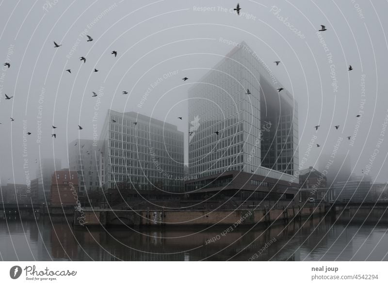 The Spiegel building in Hamburg's morning fog - a flock of pigeons takes flight Architecture Facade Office building Modern Fog Mysterious Exterior shot