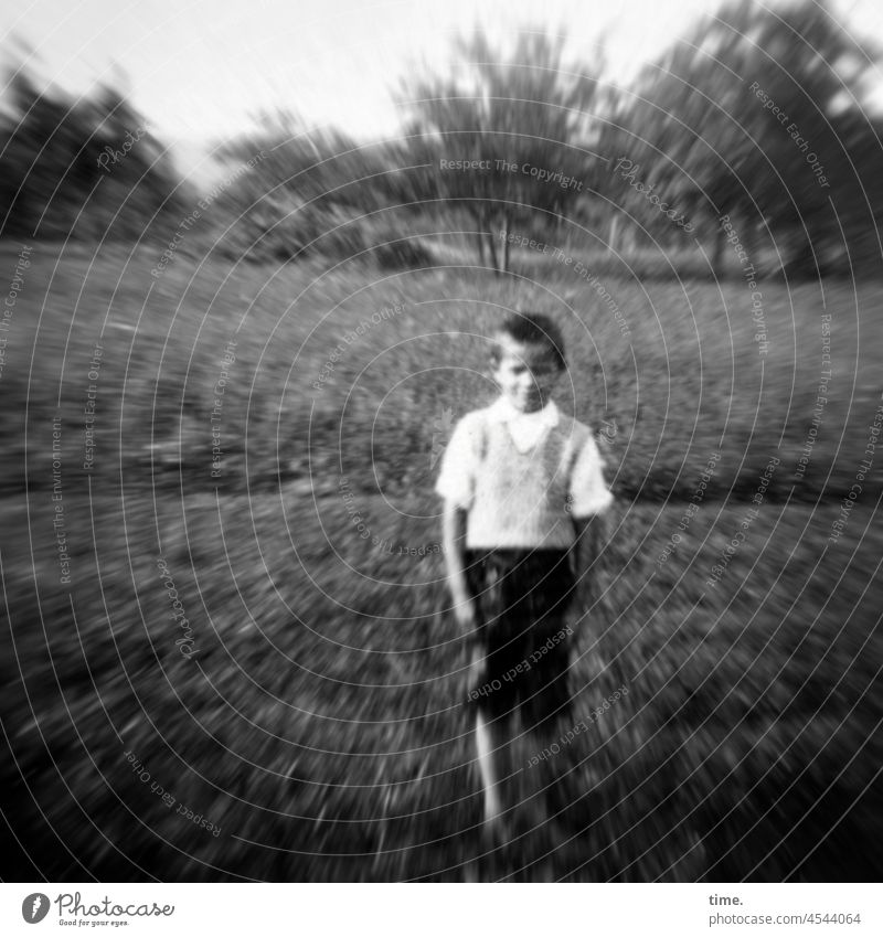 shy boy in a meadow with trees portrait Boy (child) Meadow then Stand motion blur pollunder Full-length Front view