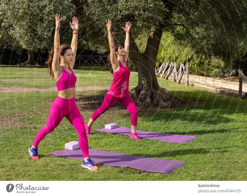 Two barefoot women practicing yoga or stretching in park on summer woman pilates asana health pink green sunny middle aged young outdoor fitness workout