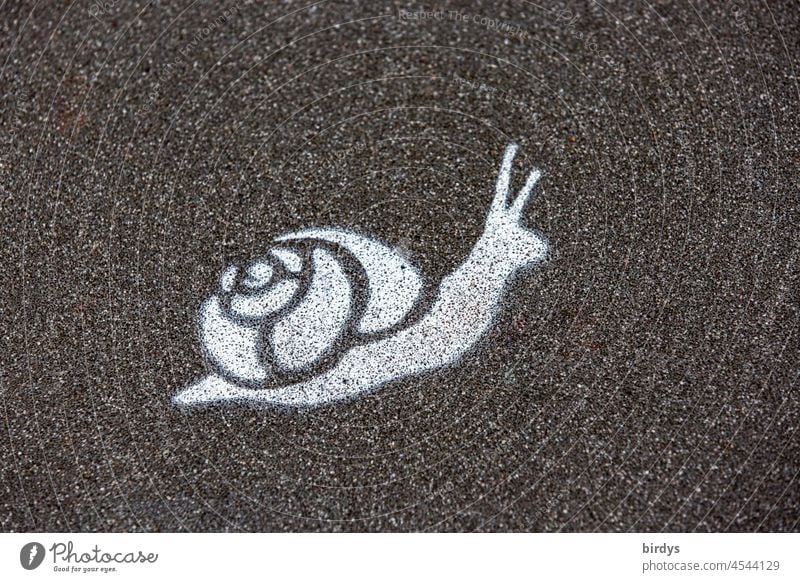 Snail with snail shell, with stencil sprayed snail symbol on asphalt. Central perspective Crumpet Snail symbol escargot deceleration sluggishness snail's pace