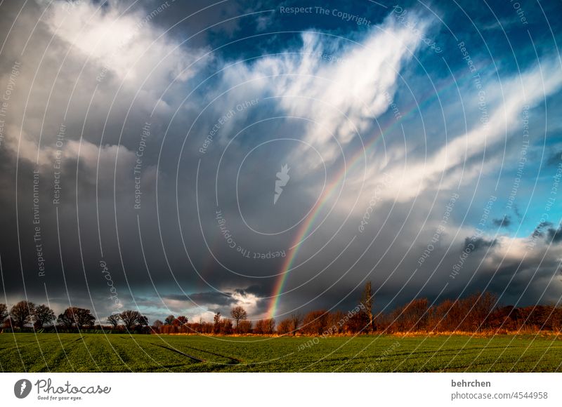 thunderstorm!!! Happy variegated Agriculture Landscape tranquillity Idyll Colour photo Sky Field Lanes & trails Environment Exterior shot Deserted Sunlight