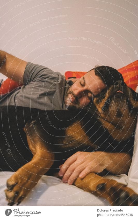 Man sleeping with his rottweiler dog activity animal authentic baby beautiful best friend black breed canine companion cute domestic faithful family friendly