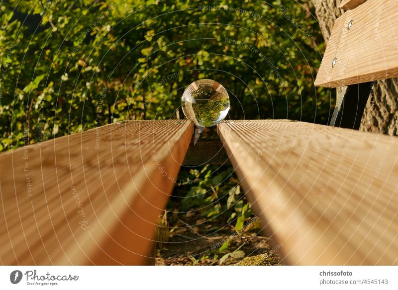 Lensball on the edge of the bench Nature Forest Bench Tree Exterior shot Cozy Calm
