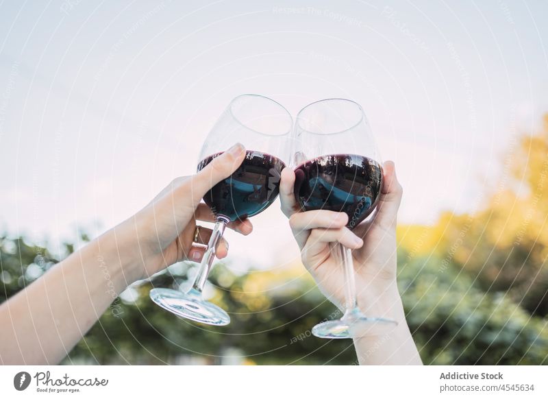 Crop faceless ladies clinking glasses of red wine in nature women toast celebrate friend alcohol cheers garden tree hand wineglass drink beverage together