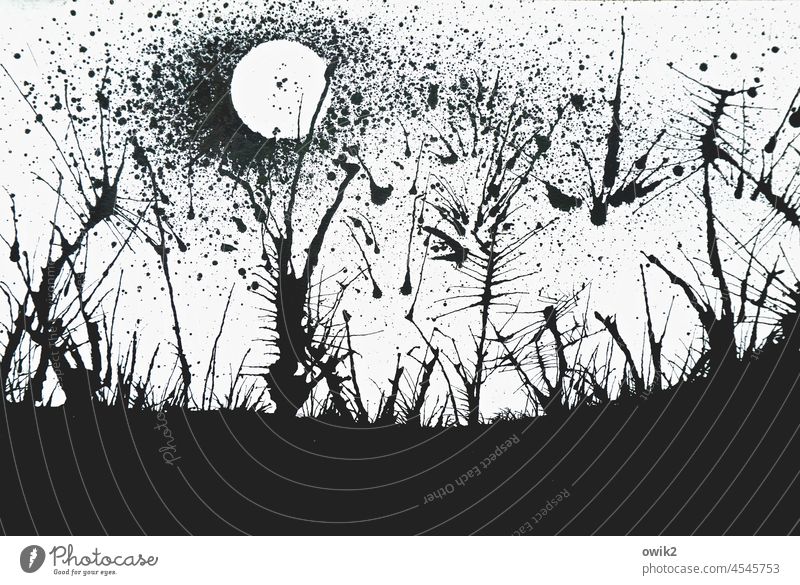 Spiky landscape Art Work of art painting Ink Progress Melt Muddled Horizon plants Abstract Silhouette black-white insects Flying buzz thorns stalks Sun Clouds