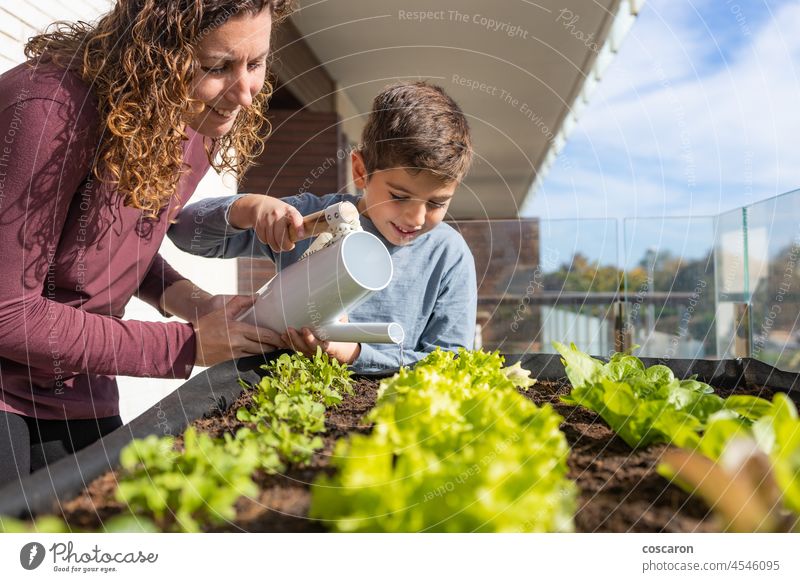 Mother and son watering vegetables in their urban garden agriculture architecture arugula balcony city environment family food fresh gardener gardening green