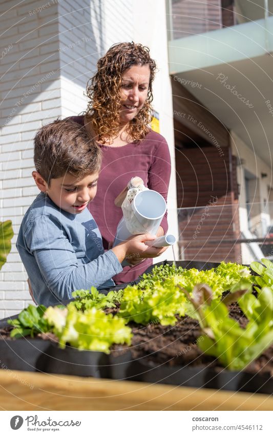 Mother and son watering vegetables in their urban garden agriculture architecture arugula balcony city environment family food fresh gardener gardening green