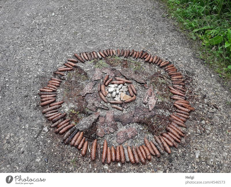 Mandala from natural materials on a forest path Circle Spruce cone Tree bark stones Round creatively Creativity Work of art Colour photo Deserted Pattern