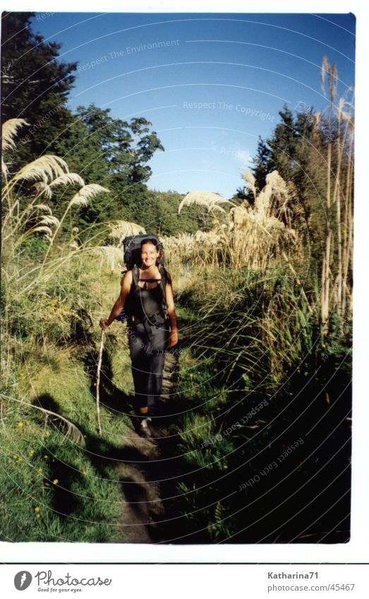 Keppler track New Zealand Hiking Backpacking Nature Happy Freedom