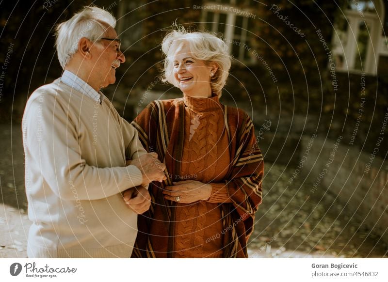 Senior couple walking in autumn park aged aging beautiful casual cheerful elder elderly embracing enjoyment grandfather grandmother gray happiness happy
