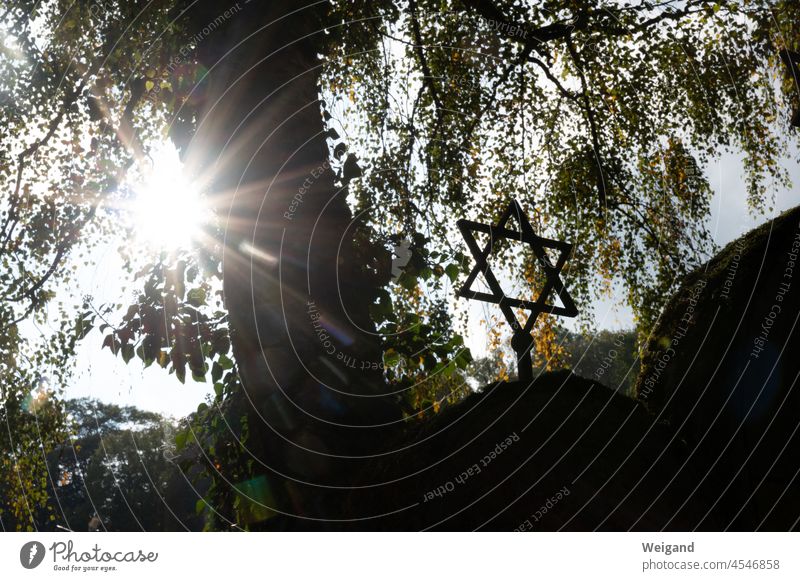 Jewish cemetery with Star of David Anti-semitism Judaism Cemetery Sun Autumn Grief Light Sunlight religion