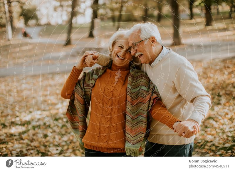 Senior couple embracing in autumn park aged aging beautiful casual cheerful elder elderly enjoyment grandfather grandmother gray happiness happy heterosexual