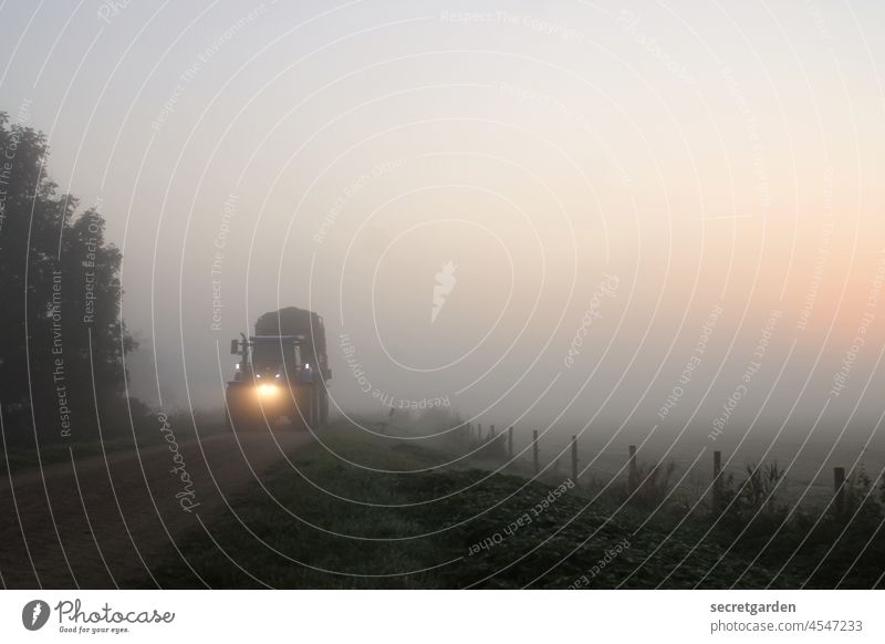 [Teufelsmoor 2021] Spot on! Tractor Agriculture Fog Landscape in the morning Street Sunrise timid Exterior shot Morning Deserted Dawn Nature Fence Field acre