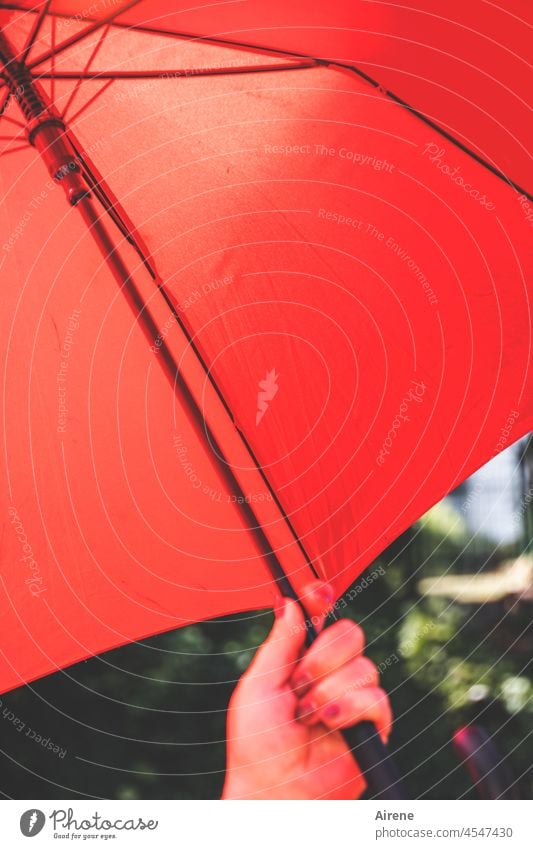 Red light therapy bright red Warmth sun protection Sunshade Umbrellas & Shades guard sb./sth. shield Hot protective measure Hand Summer Weather