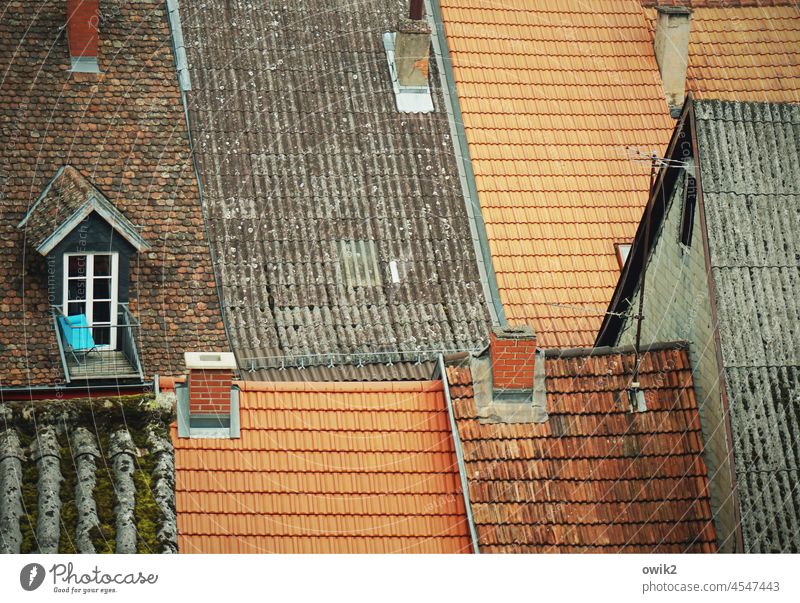 Old roofs Old town houses historic old town Architecture Building Roofing tile Window Skylight House (Residential Structure) Historic Downtown rooftop landscape