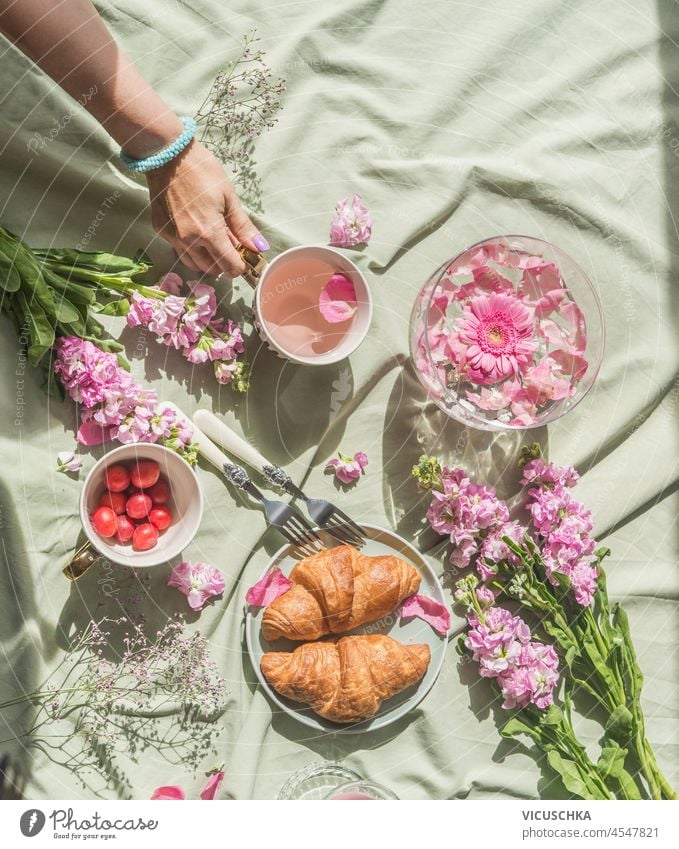 Romantic summer picnic with cherry blossom tea, croissants, cherries and woman hand on pale textile background. Food and drink concept with flowers. Top view.