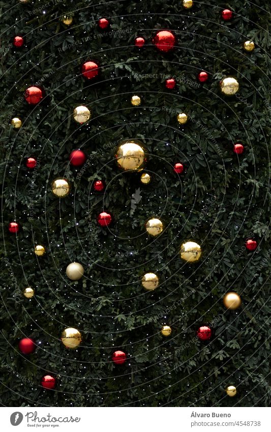 Texture of Christmas balls hanging on a huge background of green leaves representing a Christmas tree, Madrid, Spain Christmas decoration branches golden balls