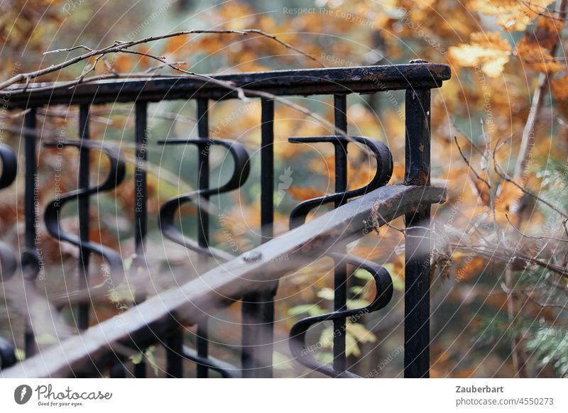 Corner of forged railing in autumn leaves Autumn Herstblaub Forging autumn colours lines structures forsake sb./sth. Structures and shapes Metal Pattern