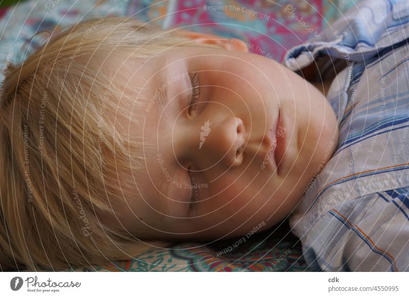 Childhood | sleeping angel angel Boy (child) Face asleep Blonde eyes closed Closed eyes relaxed Break rest Sleep Nap fallen asleep Infancy Safety (feeling of)