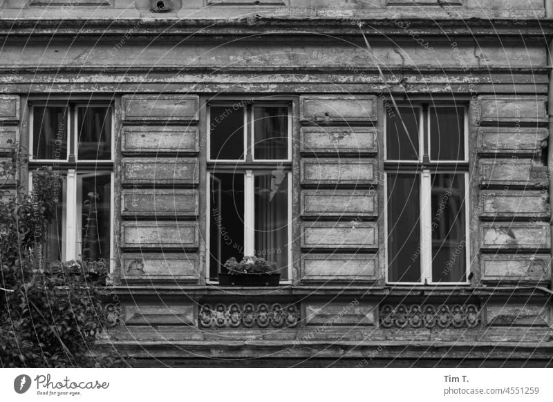 Windows in an old facade b/w Prenzlauer Berg Facade unrefurbished Town Downtown Capital city Berlin Day Deserted Exterior shot Old town Black & white photo
