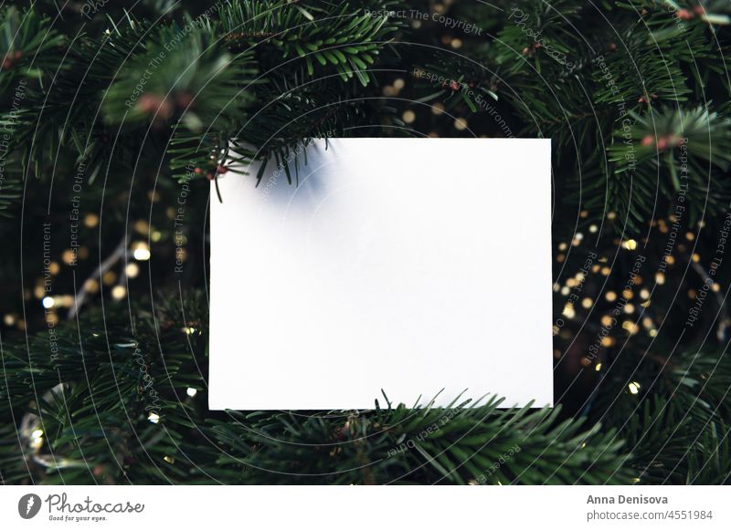 Frame from Xmas tree branches with mock up xmas christmas frame card creative background decoration holiday minimal winter green white trend festive empty above