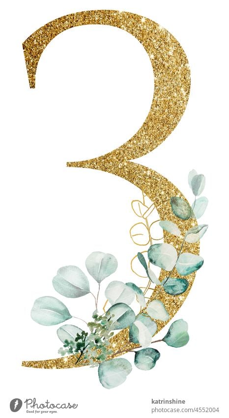 Golden number 3 isolated decorated with green watercolor eucalyptus branches botanical Character Drawing element hand-drawn Public Holiday Isolated Nature