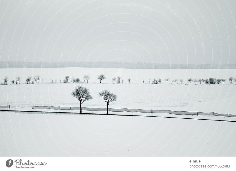 open, snow-covered winter landscape with road, snow fence and single trees / winter Snow Winter Season Wintertime place of silence Calm White Winter mood