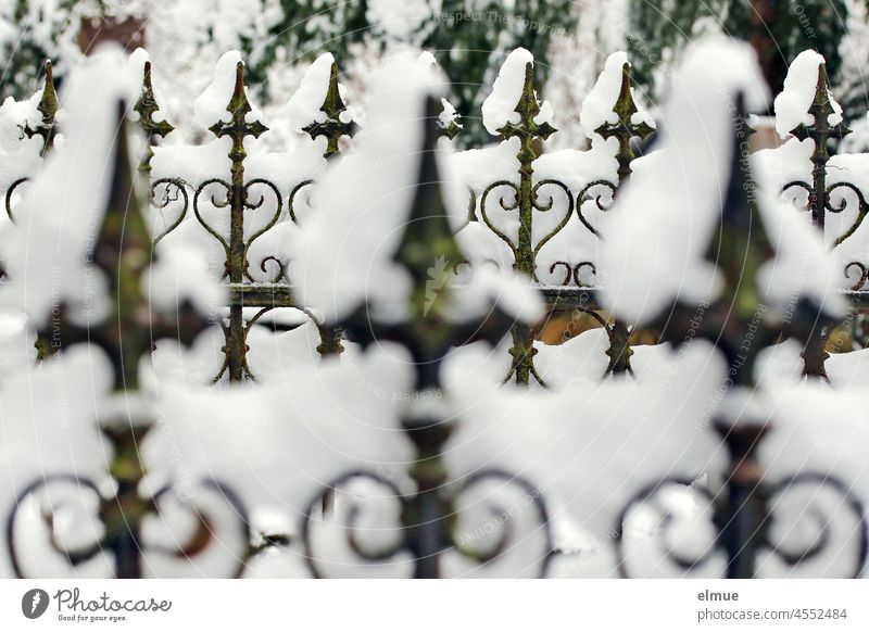 old wrought iron cemetery fence covered with snow / winter Cemetery fence Fence Snow Winter cast-iron wrought-iron Wrought iron Ornamental fence Fence element