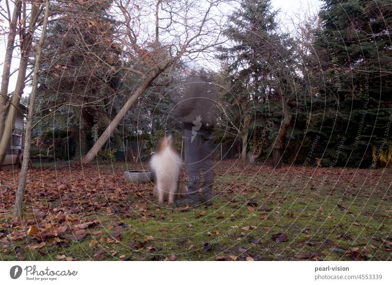 Garden Spirits ghost Ghosts & Spectres Long exposure Strange blurriness Obscure Dog Autumn leaves