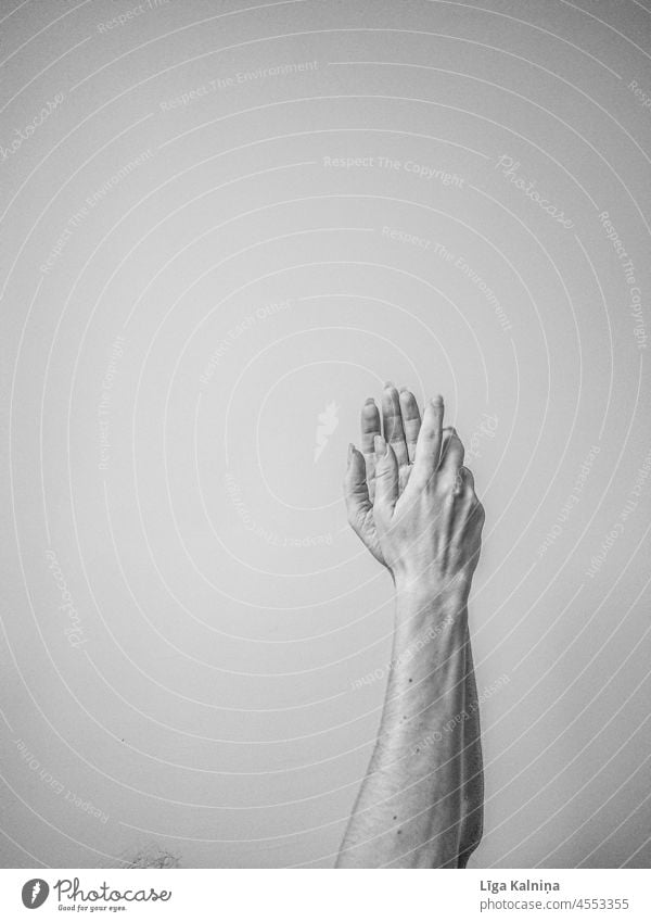 Hands in black and white hands Fingers Arm Palm of the hand Human being Skin wrist Minimalistic body part Neutral Background Body Light (Natural Phenomenon)