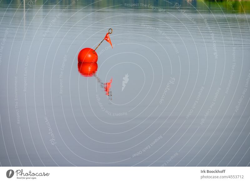 Red anchor buoy in glassy water Orange Signal signal colour attentiveness Attentive Close-up Float in the water Leisure and hobbies Vacation & Travel Summer