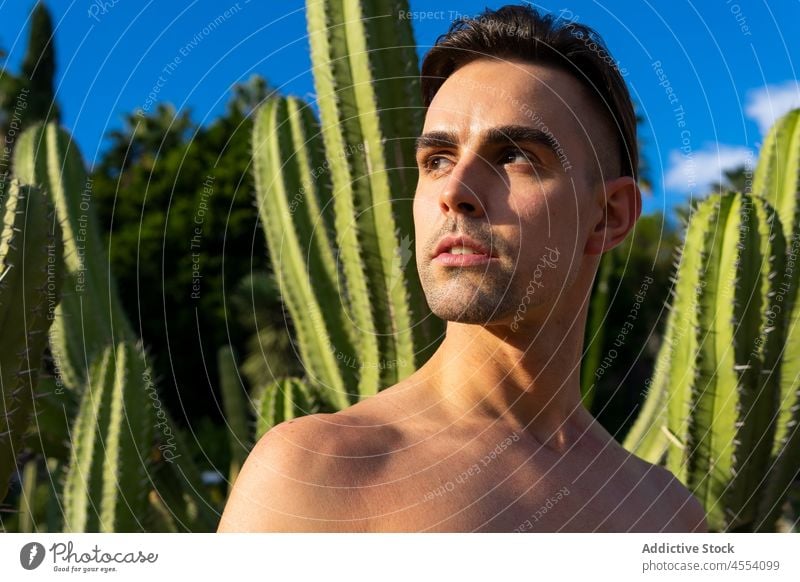 Confident shirtless man looking away in tropical garden self assured resort summer holiday vacation exotic confident bare shoulders nature male young ethnic