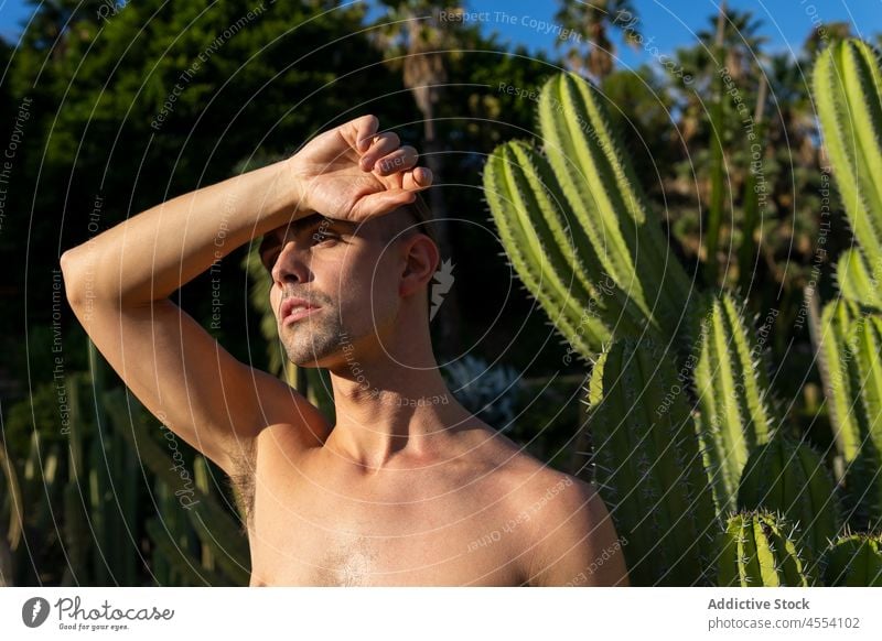 Confident shirtless man looking away in tropical garden self assured resort summer holiday vacation exotic confident bare shoulders nature male young ethnic