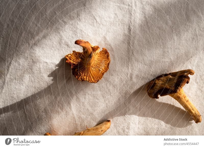 Mushrooms on tablecloth in rural house chanterelle mushroom edible bowl wild kitchen raw collect autumn harvest food countryside pick forest biology wildlife