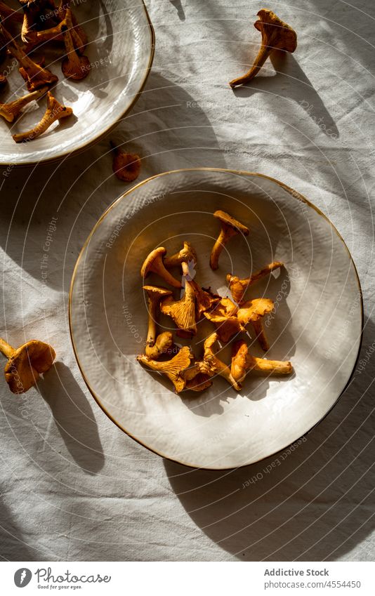 Mushroom on tablecloth in rural house chanterelle mushroom edible bowl wild kitchen raw collect autumn harvest food countryside pick forest biology wildlife