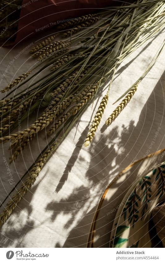 Bunch of wheat spikes on table cereal rye grass twig plate rural dry sunlight dishware ceramic fabric stem fragile shadow stalk tablecloth dried branch thin
