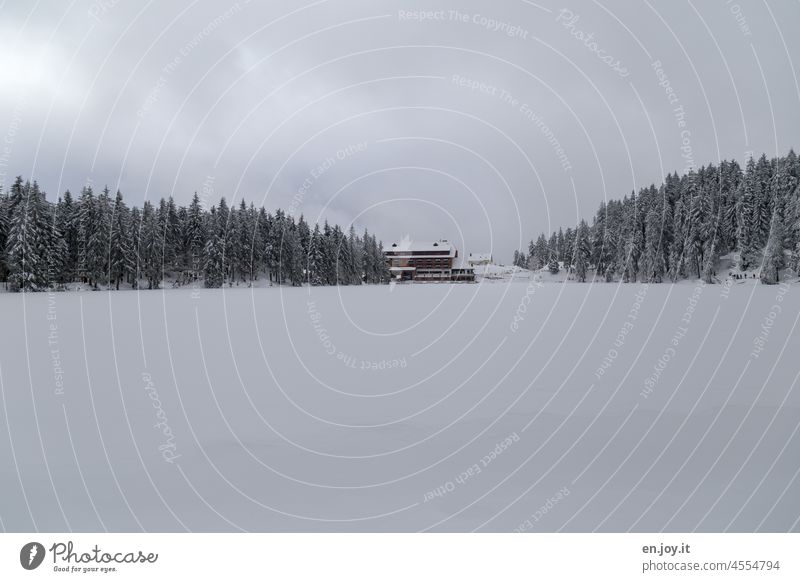 Snow on the Mummelsee in the Black Forest Mummelsee Lake Frozen frozen lake snow-covered Winter House (Residential Structure) Sky Clouds Snowscape Frost White