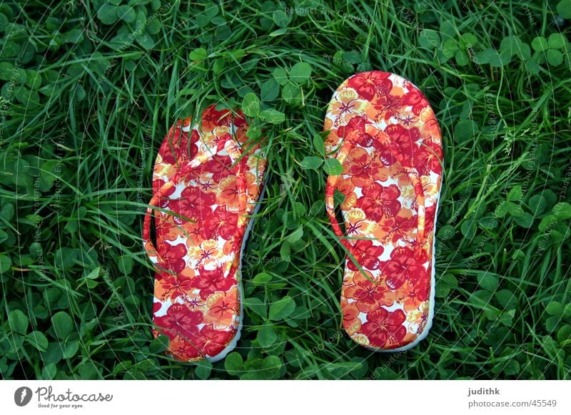 funky or funky? Grass Flip-flops Shuffle Summer Green Red Footwear Whispering grass Leisure and hobbies flowery
